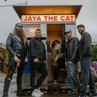 Jaya The Cat